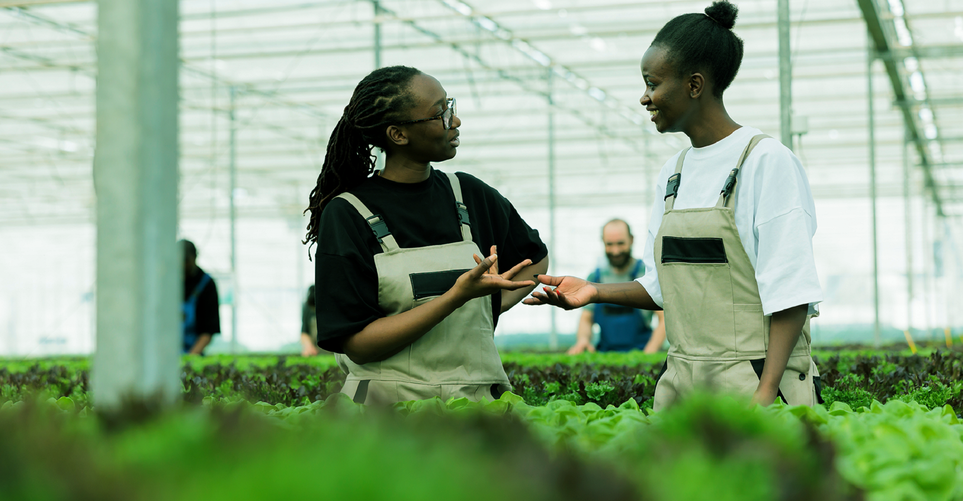 AgricPal - Empowering Young Agripreneurs