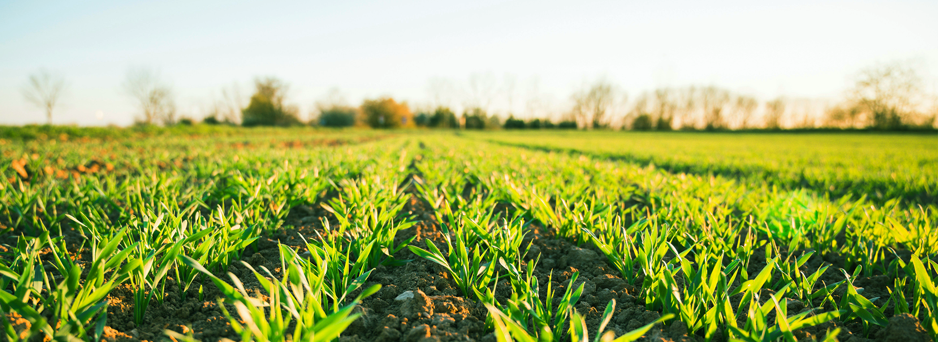 AgricPal FAQ – Answers for Nigerian Youth in Agribusiness